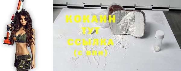 PSILOCYBIN Михайлов
