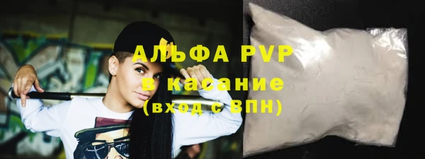PSILOCYBIN Михайлов