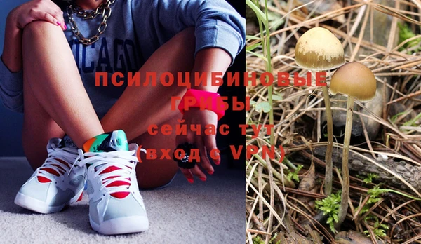 тгк Надым