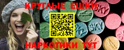 стаф Бийск