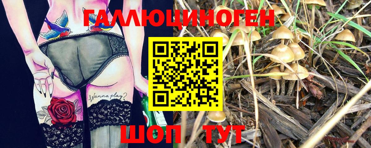 Галлюциногенные грибы Cubensis  Вход с VPN  Курск 