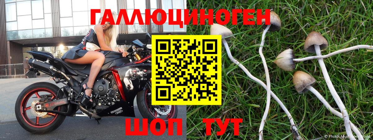 Галлюциногенные грибы Magic Shrooms Курск